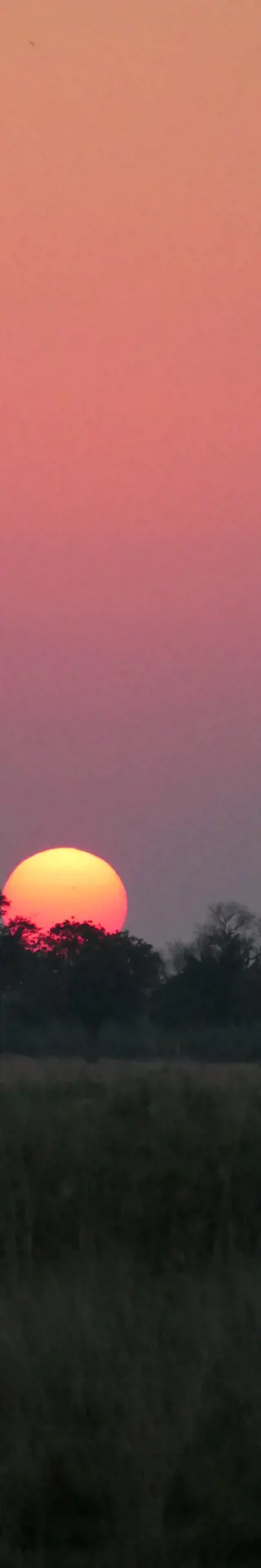 Um viele Erfahrungen reicher